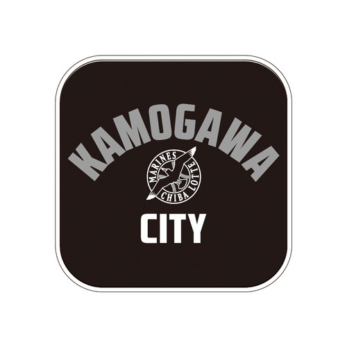 フレンドシップシティ13市展開 CITY ミニタオル 詳細画像 1カラー 1