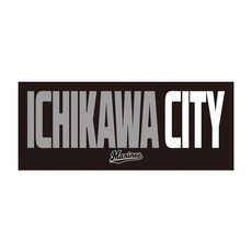 フレンドシップシティ13市展開 CITY フェイスタオル
