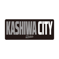 フレンドシップシティ13市展開 CITY カーマグネット