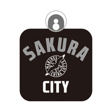 フレンドシップシティ13市展開 CITY カーサイン