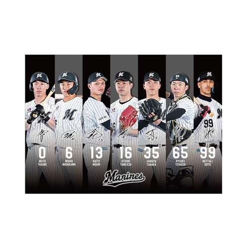 選手集合フォトクリアファイル　2026 タイプA 詳細画像 1カラー 1