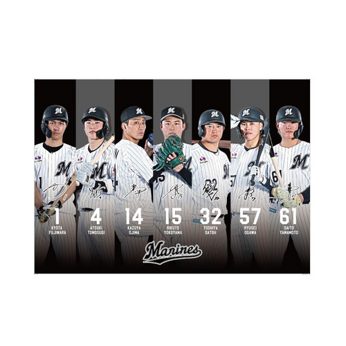 選手集合フォトクリアファイル　2026 タイプB 詳細画像 1カラー 1