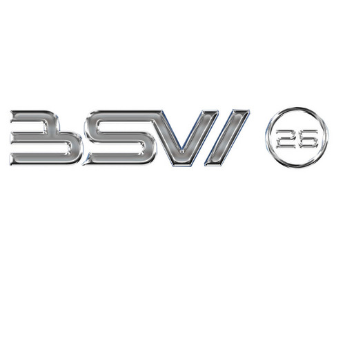 BSW メタル風ステッカー　BSW26 詳細画像 1カラー 1