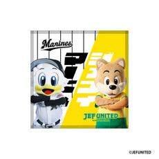 マリーンズ×ジェフユナイテッド市原・千葉 実写マスコットコラボミニタオル(マーくん×ジェフィ)
