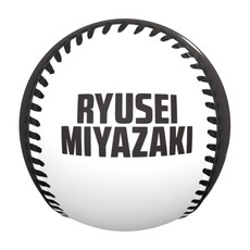 宮崎竜成選手 プロ入り初本塁打記念 ピクチャーボール 詳細画像