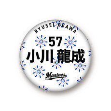 全選手展開 マンスリー総柄缶バッジ(花火Ver.)