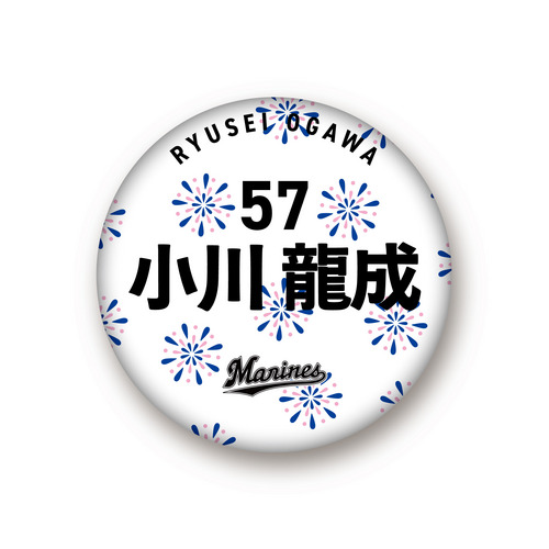 全選手展開 マンスリー総柄缶バッジ(花火Ver.) 詳細画像 1カラー 1