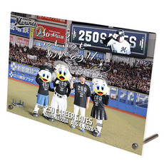 益田直也投手 通算250セーブ記念 アクリルパネル(直筆メッセージ)