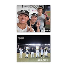 2026ベストシーン 選手集合・セルフィーステッカー2枚セット(8.26vsH)