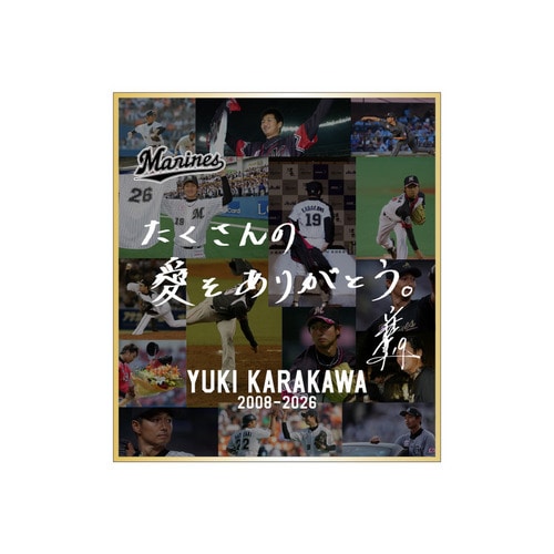唐川侑己投手引退メモリアル ミニ色紙(直筆メッセージ) 詳細画像 1カラー 1