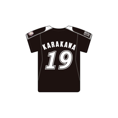 唐川侑己投手引退メモリアル 歴代ユニホーム展開 カーマグネット