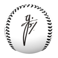 山口航輝選手 千葉移転後球団最多本塁打記念 ピクチャーボール 詳細画像