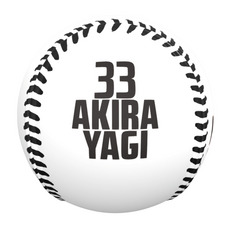 八木彬投手 損保ジャパンHIKESHI賞受賞記念 ピクチャーボール 詳細画像