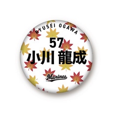 全選手展開 マンスリー総柄缶バッジ(紅葉Ver.)